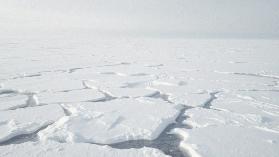 Jakie są warunki klimatyczne na biegunie północnym?