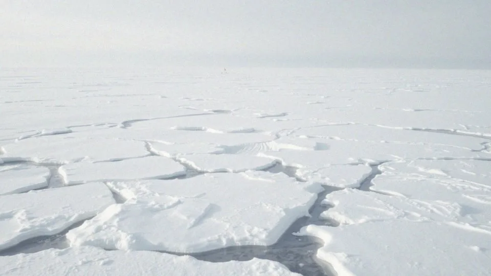Jakie są warunki klimatyczne na biegunie północnym?