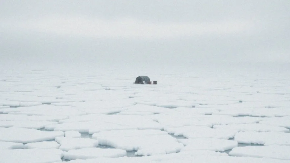 Gdzie leży biegun północny?