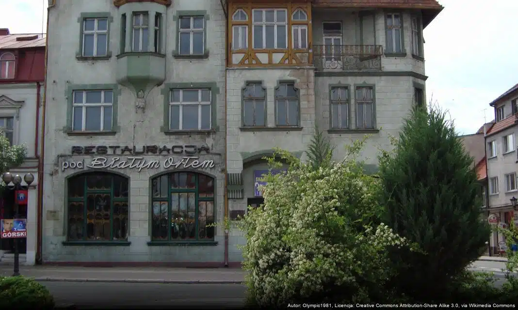 Rewitalizacja Parku im. Oscara Tietza w Międzychodzie